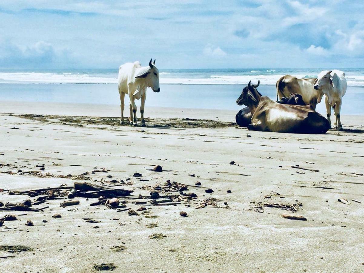 Rancho Coral Ξενοδοχείο Esterillos Εξωτερικό φωτογραφία